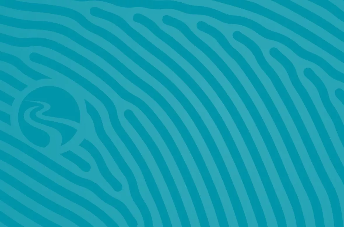 Turquoise design banner with Stoel Logo